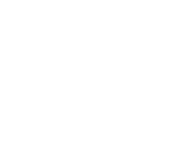 Brides of North Texas